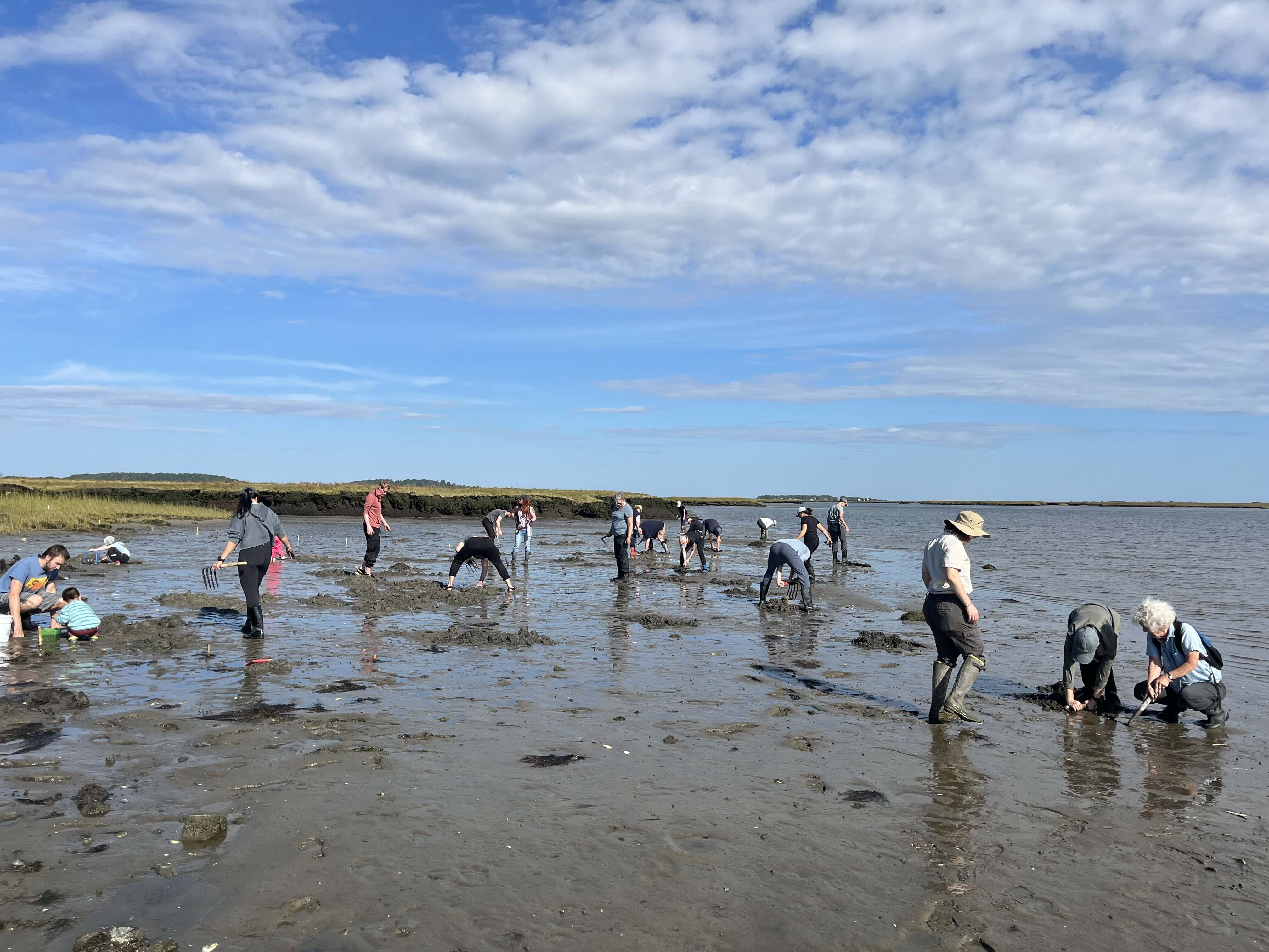 Group Clamming 2